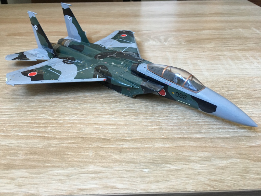  F-15J (1/72 - Hobby Craft) + F-15 (1/72 - Hasegawa) - Page 3 Img_4101