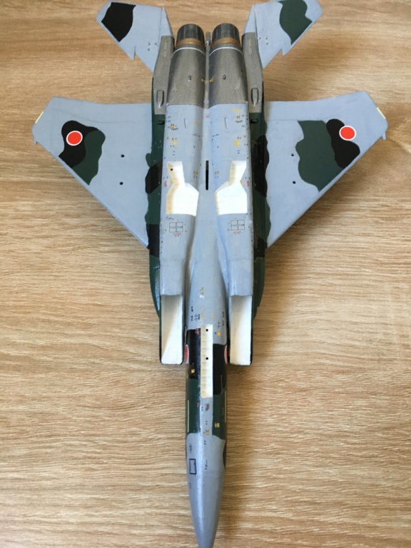  F-15J (1/72 - Hobby Craft) + F-15 (1/72 - Hasegawa) - Page 3 Img_4104