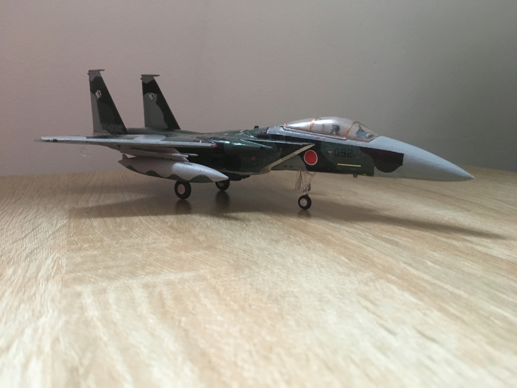  F-15J (1/72 - Hobby Craft) + F-15 (1/72 - Hasegawa) - Page 3 Img_4200