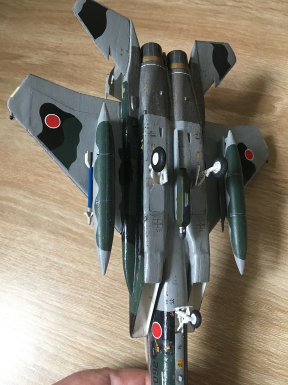  F-15J (1/72 - Hobby Craft) + F-15 (1/72 - Hasegawa) - Page 3 Img_4201