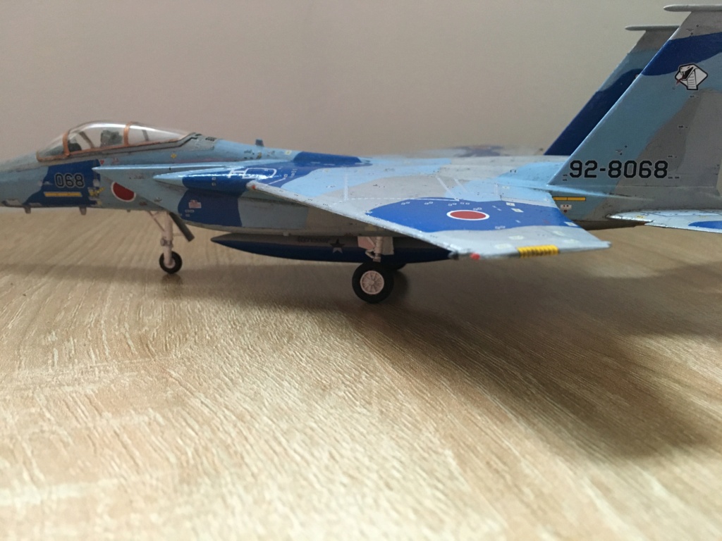 F-15J (1/72 - Hobby Craft) + F-15 (1/72 - Hasegawa)  Img_4213