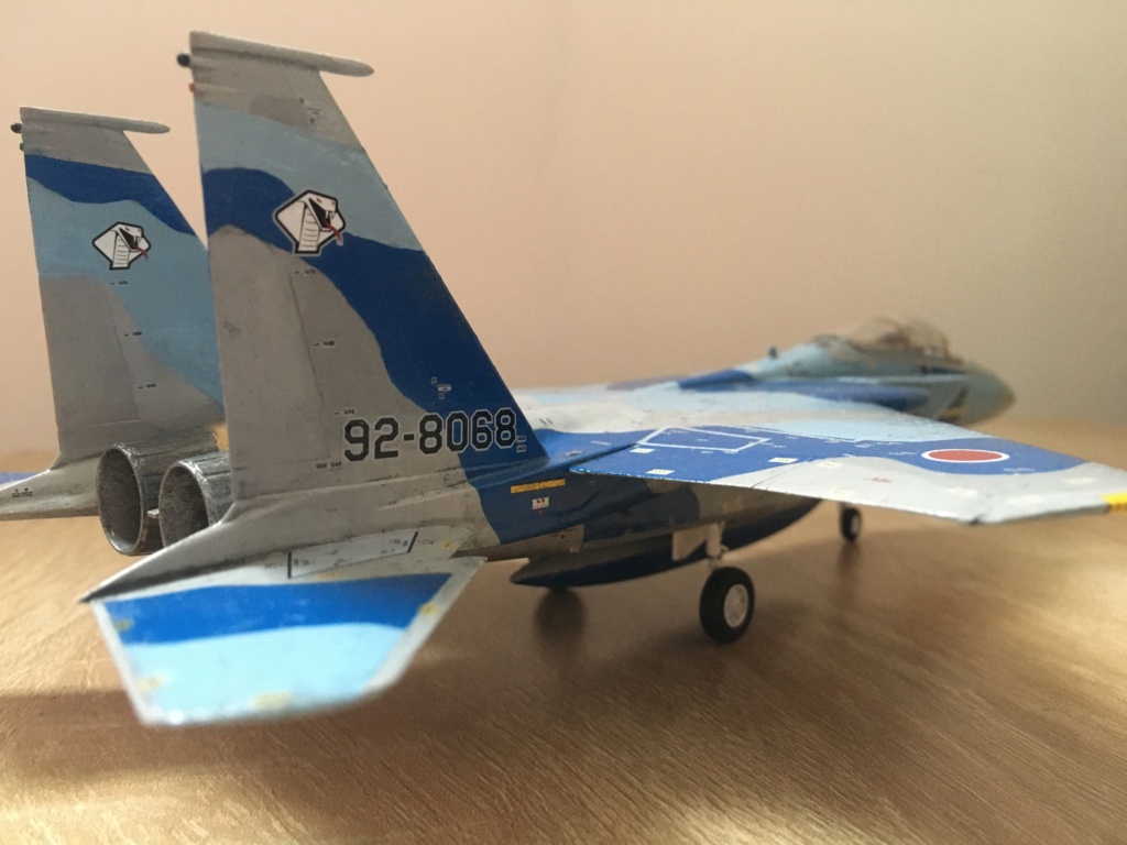 F-15J (1/72 - Hobby Craft) + F-15 (1/72 - Hasegawa)  Img_4214