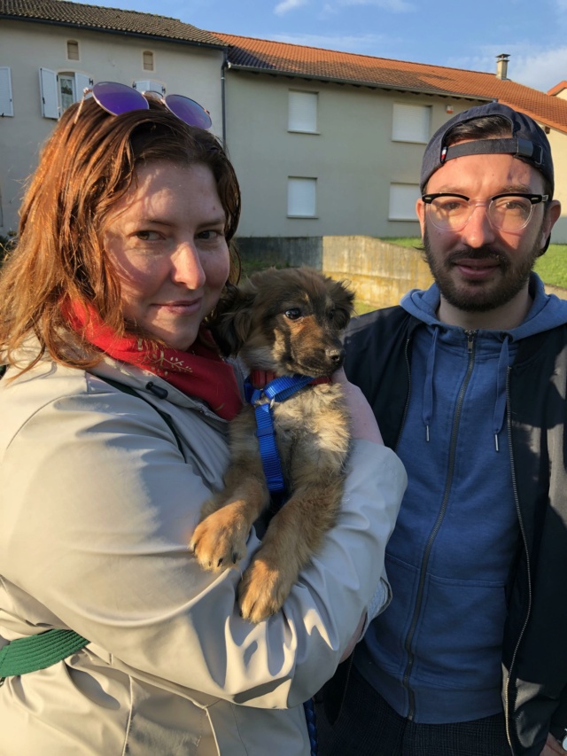 SULLY - Chiot mâle croisé de taille petite-moyenne à l'âge adulte - Né en janvier 2023 - Adopté par Elodie (dpt 57) - Arrêt Metz Rece4963