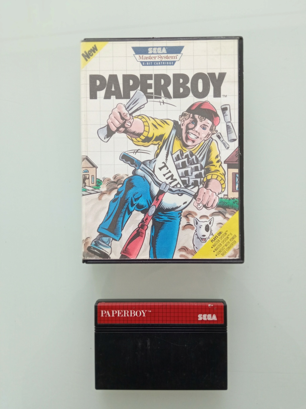 PaperBoy (sans notice) Img_2099