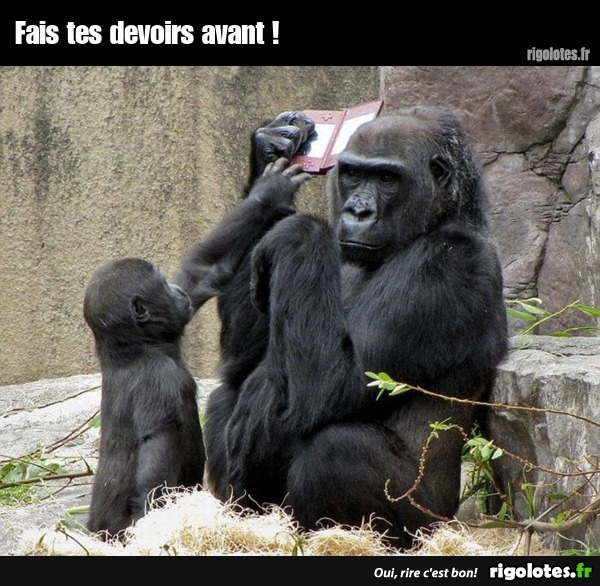  Les messages d'octobre 2022 (Bonjours,bonsoirs etc..) - Page 10 0255