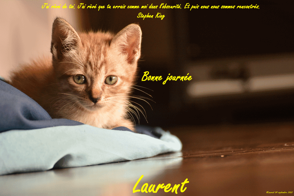  Les messages d'août 2022 (Bonjours,bonsoirs etc..) - Page 8 Lolo0416