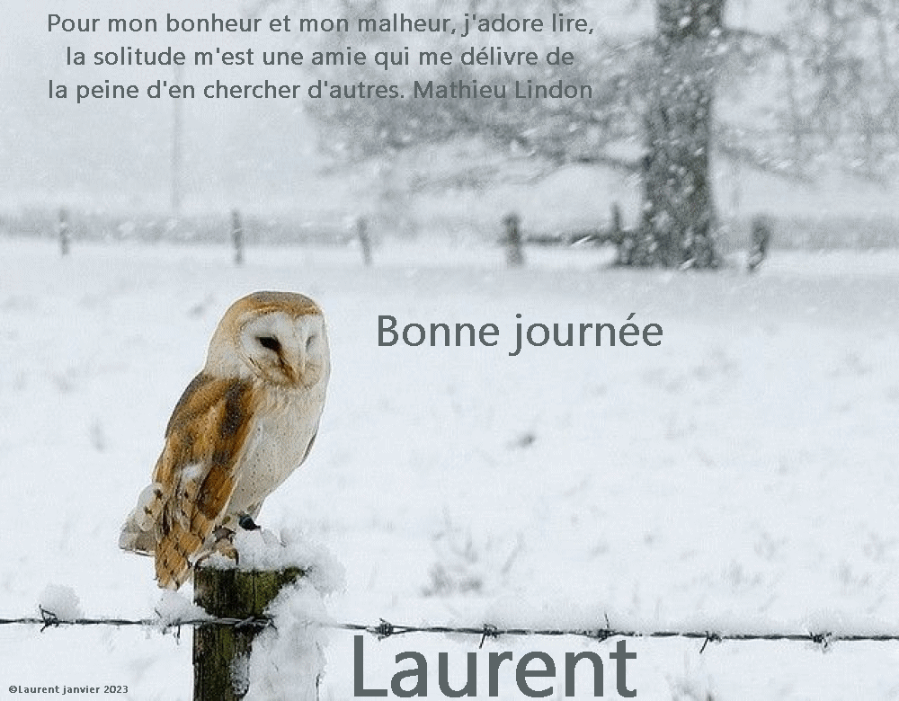  Les messages de janvier 2023 (Bonjours & bonsoirs etc..) - Page 18 Lolo1424