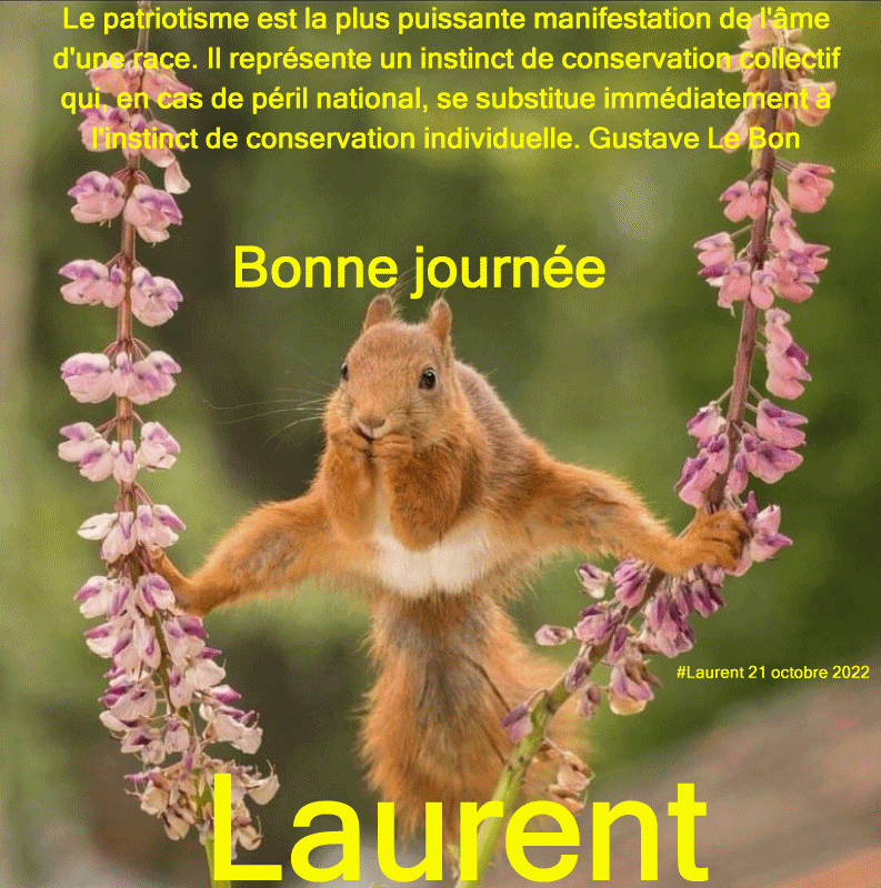  Les messages d'octobre 2022 (Bonjours,bonsoirs etc..) - Page 11 Lolo2118