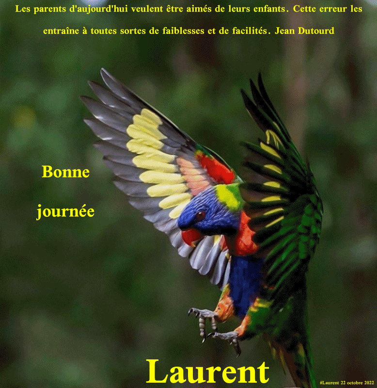 Les messages d'octobre 2022 (Bonjours,bonsoirs etc..) - Page 11 Lolo2218