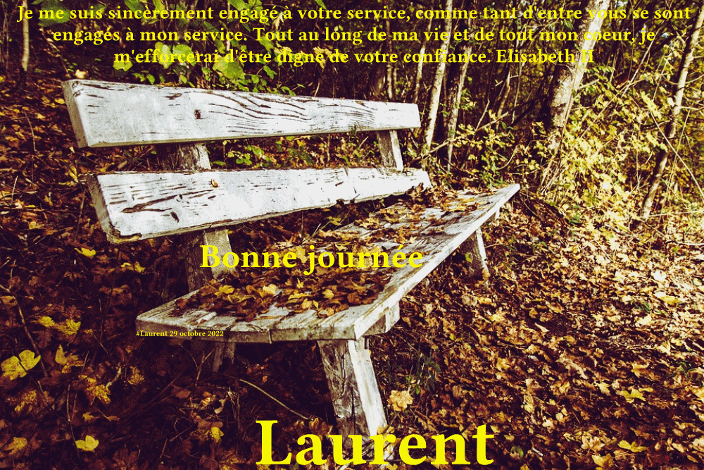  Les messages d'octobre 2022 (Bonjours,bonsoirs etc..) - Page 12 Lolo2918