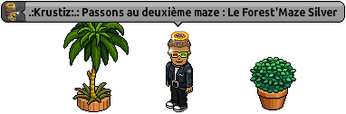 3 mazes sur Habbo pour vous torturer l'esprit  10_pas10