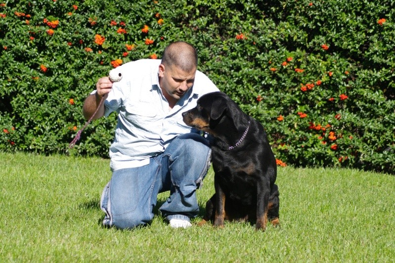 le maitre et ses rottweiler Moi_rh10