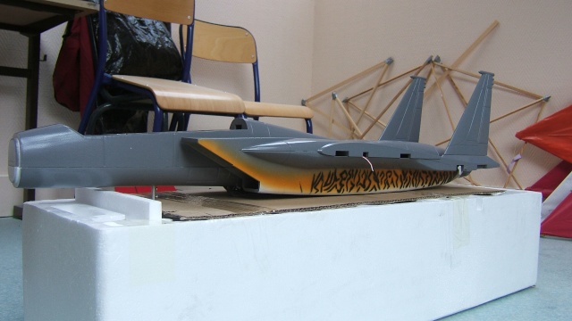 F15 Freewing, jet monoturbine en "mousse" Dscf2510