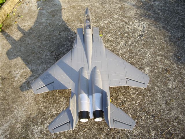 F15 Freewing, jet monoturbine en "mousse" Imgp0716