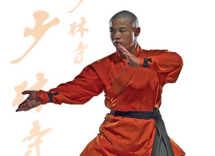 Les scientifiques se penchent sur Shaolin Qigong10