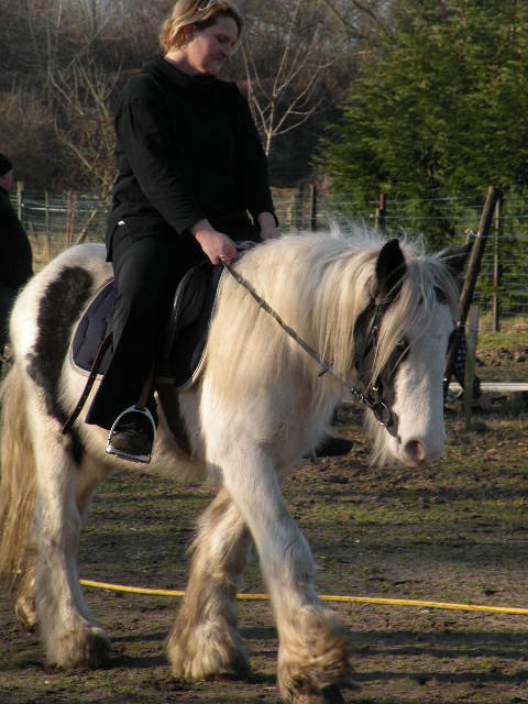 Une photo de vous et votre cheval - Page 3 Kylian14