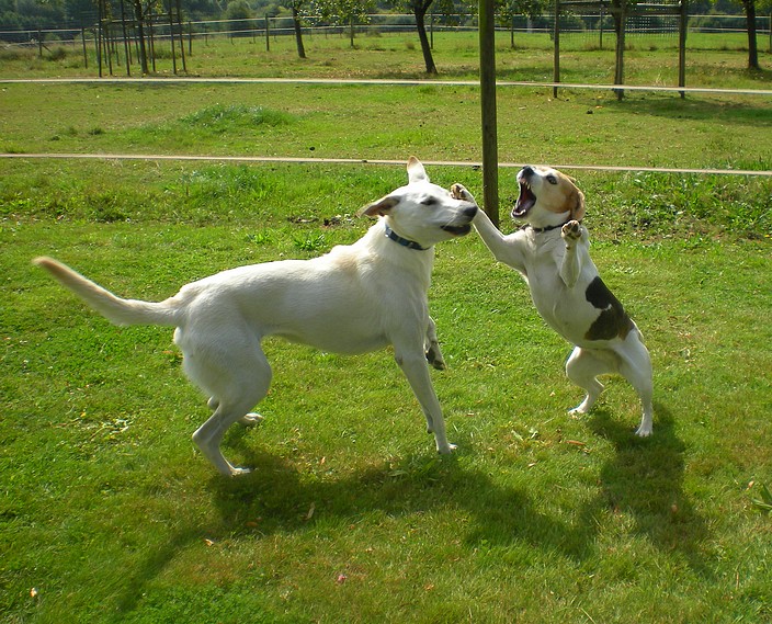 Emilie, Marie-Lise, Delilah et Floppy : 3 jours Deli_e43