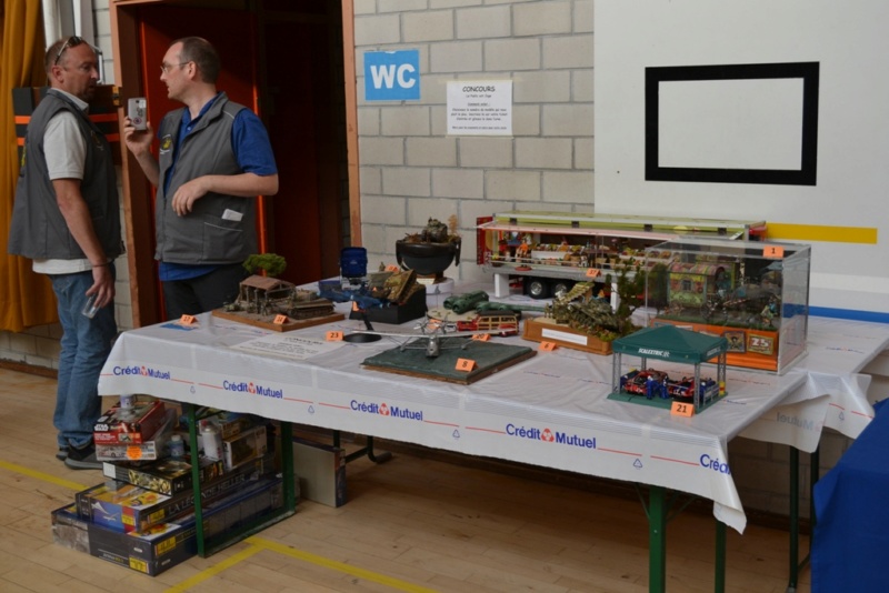 PONT DE ROIDE (21 DOUBS) Compte rendu l'Exposition organisé par M2R les 29 et 30 Septembre 2018 ... Dsc_0160