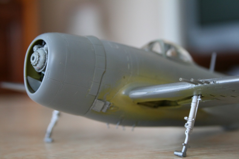 P47M Thunderbolt 1/48 [Tamiya] Img_4535