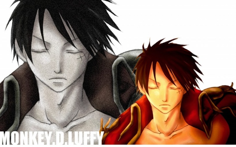 Fanarts One Piece - Page 21 92a98410