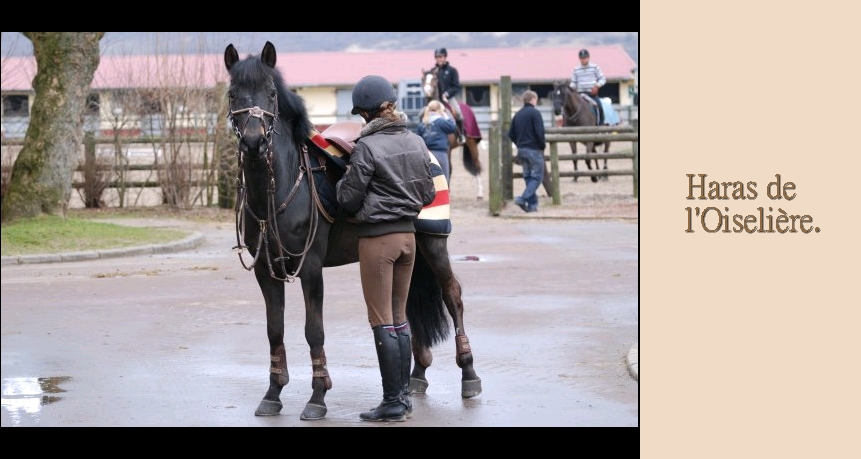 « Manège. » Haraso10