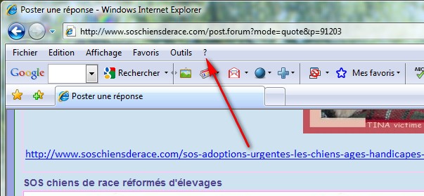 Problème mail et message qui disparaissent 2009-113