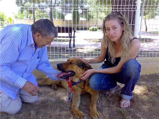 El Antes y el Después de un abandono. Año 2009 - Página 2 Ironre10