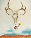 keeffe - Georgia O'Keeffe [peintre] Photo22