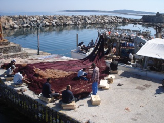 PAROS : La Concurrente 2009-520