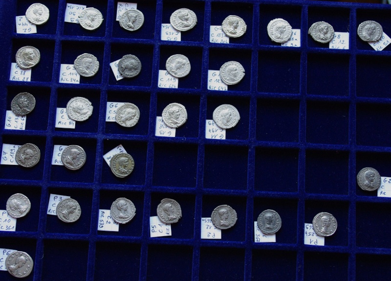 Panorama du monnayage en argent des premiers Sévères Gp-ave10