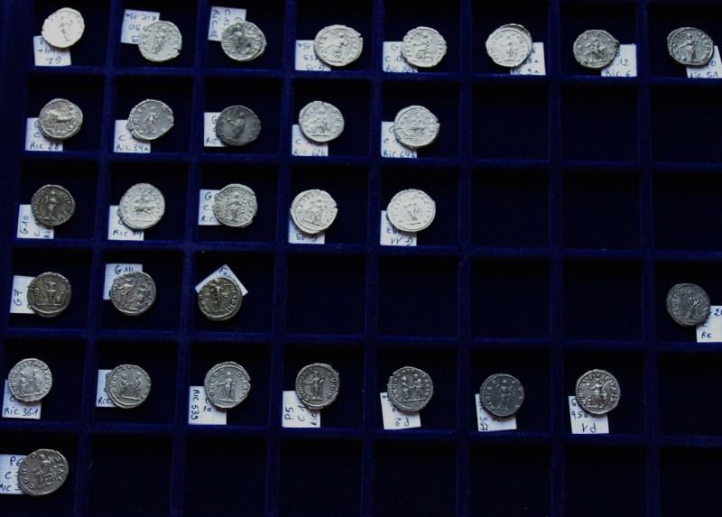 Panorama du monnayage en argent des premiers Sévères Gp-rev10