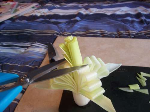 Une fleur avec un poireau pas à pas    Fidjsn10