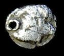 fraccionaria anterior a los dracmas 400-300 a.C. Inédita. 0371r10