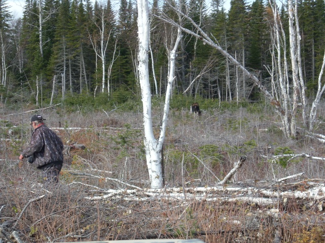 Très beau souvenir Chasse13