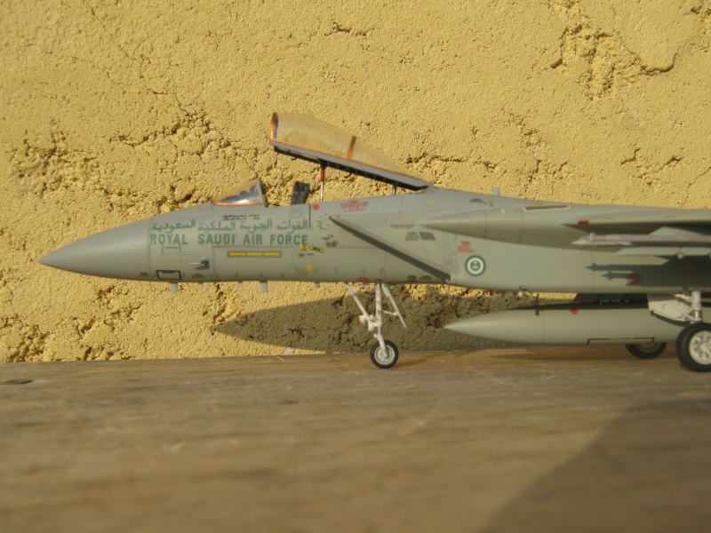 F-15C Eagle , Royal Saudi Air Force . F15c_120
