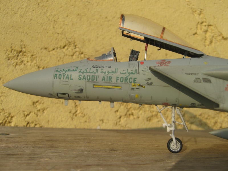 F-15C Eagle , Royal Saudi Air Force . F15c_125