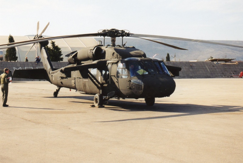 UH-60 Black Hawk Img07311