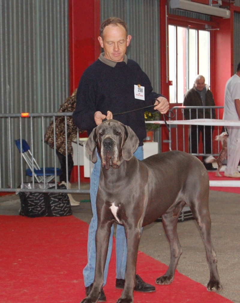 Résultats d'expo de Limoges Dsc_0035