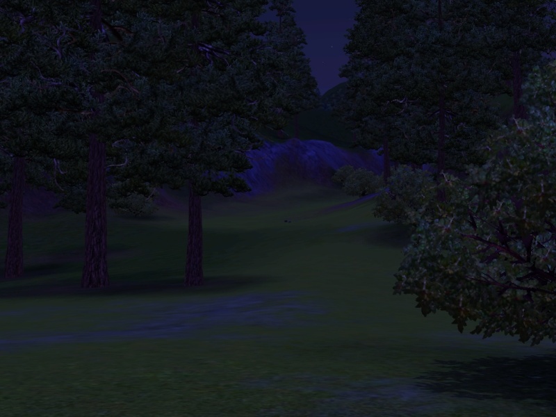 Nocturn Valley - Eine FaDyCha unter Sims 3 4_weg_10