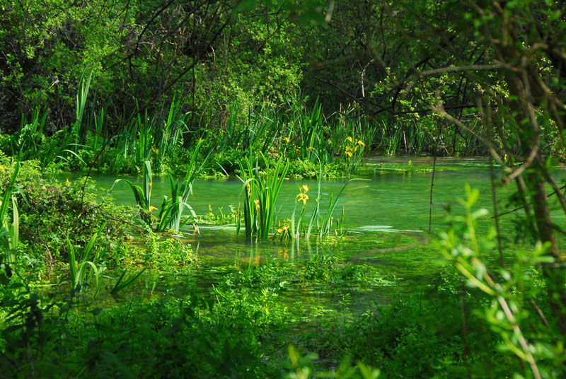 Source de la Dige (Lot) Dsc_0015