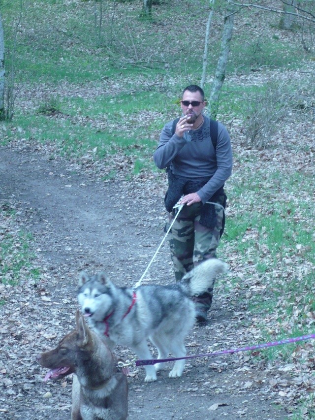 Rencontre en forêt de Montargis du 19 avril : les photos - Page 2 P1000917