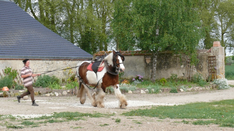 enfin les photos de Chicco 17710