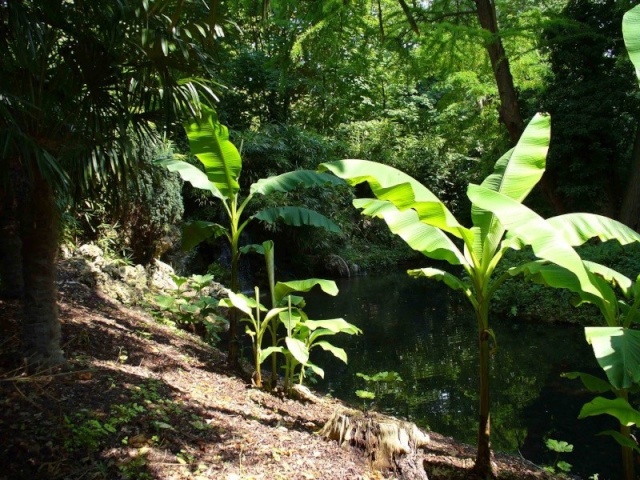 PARCS et JARDINS à VISITER Potage16