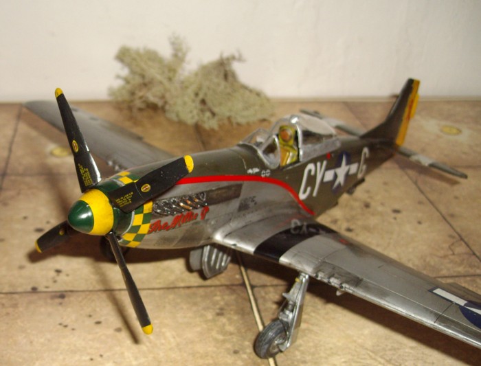 P51D Mustang  [Tamiya] 1/48 + Staff car - Page 2 216