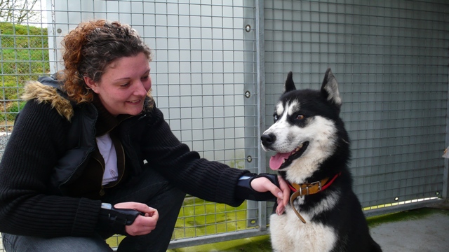 LUCKY(nommé par mayelisse) mâle 10/12mois yeux vairons Lucky_10