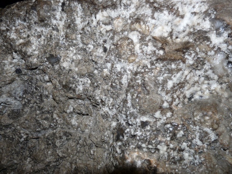 Identification de pierre Wielic10