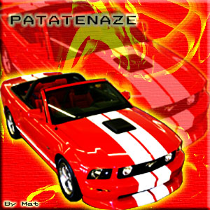 Patatenaze-Test Fondvo11