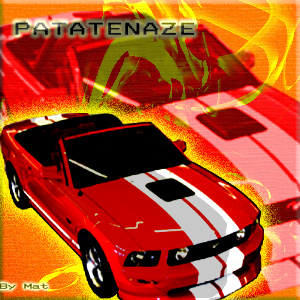 Patatenaze-Test Fondvo12