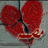 عدد الأوسمة التي حصلت عليها الفراشة :: 2 عدد الأوسمة التي حصلت عليها الفراشة :: 2