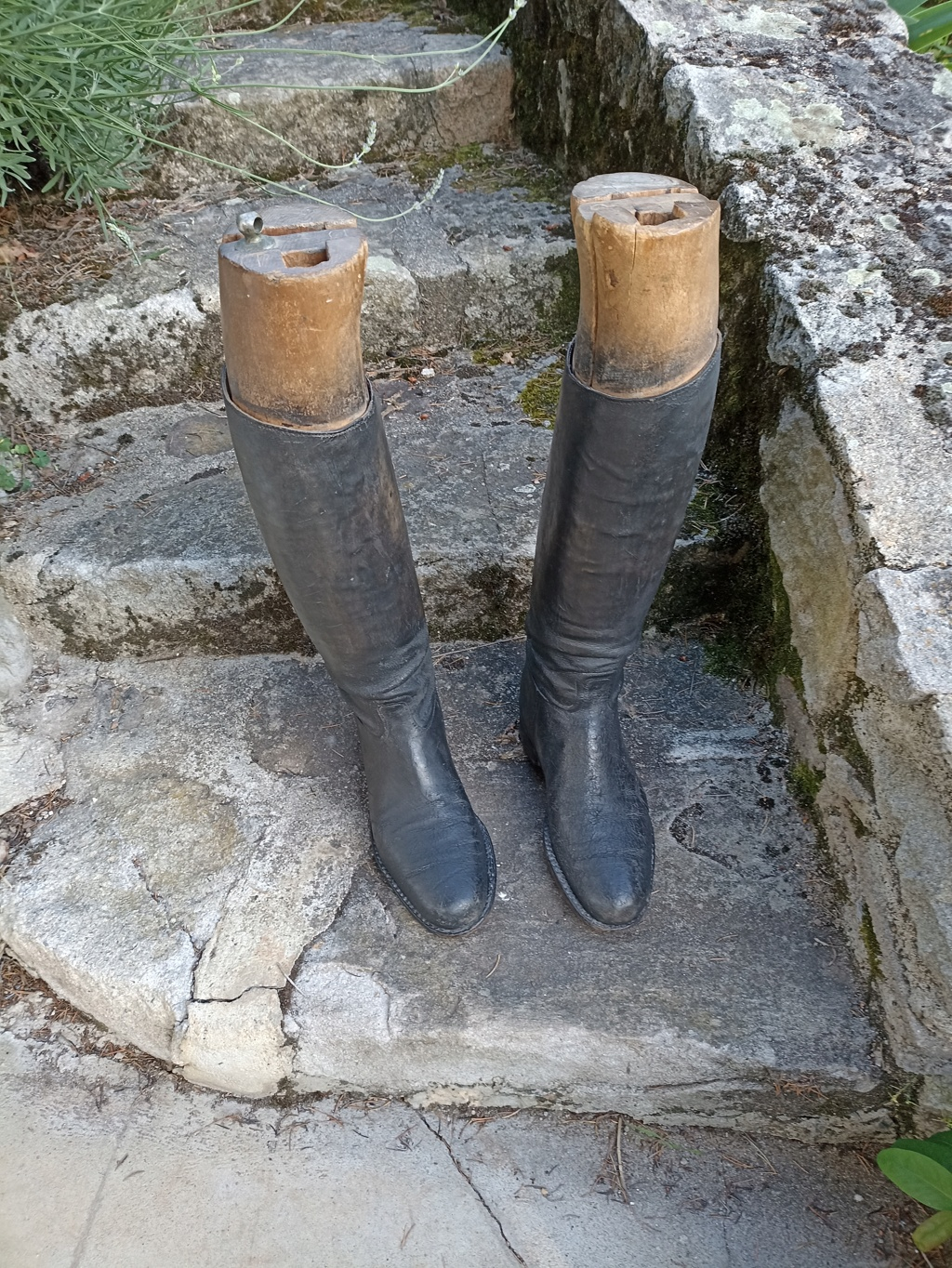 (M) paire de bottes Officier avec embauchoirs - vendue- Bottes11